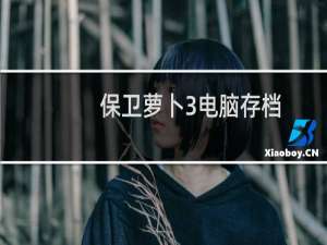 保卫萝卜3电脑存档