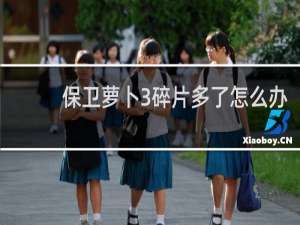 保卫萝卜3碎片多了怎么办