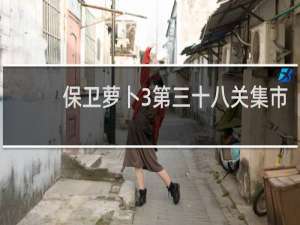 保卫萝卜3第三十八关集市