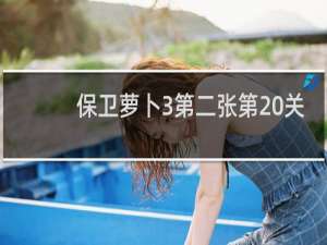 保卫萝卜3第二张第20关