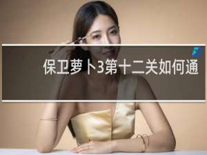 保卫萝卜3第十二关如何通