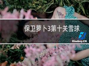 保卫萝卜3第十关雪球
