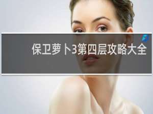 保卫萝卜3第四层攻略大全