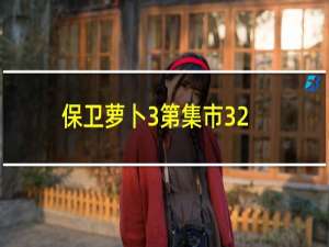 保卫萝卜3第集市32