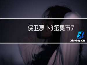 保卫萝卜3第集市7