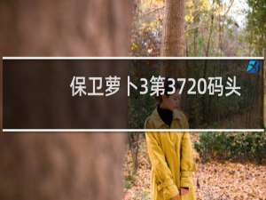 保卫萝卜3第37 码头