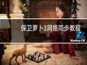 保卫萝卜3网络同步教程