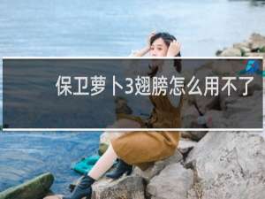 保卫萝卜3翅膀怎么用不了
