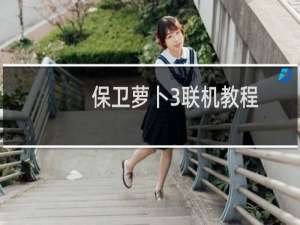 保卫萝卜3联机教程