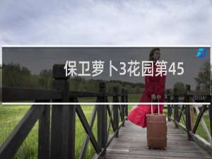 保卫萝卜3花园第45