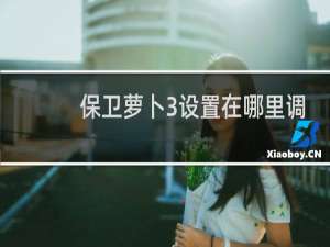 保卫萝卜3设置在哪里调