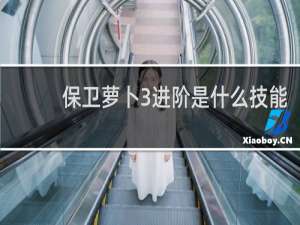 保卫萝卜3进阶是什么技能