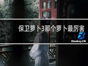 保卫萝卜3那个萝卜最厉害