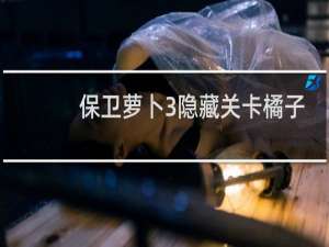保卫萝卜3隐藏关卡橘子