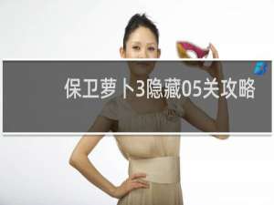 保卫萝卜3隐藏05关攻略