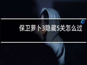 保卫萝卜3隐藏5关怎么过