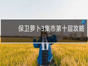 保卫萝卜3集市第十层攻略