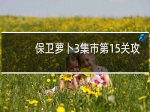 保卫萝卜3集市第15关攻