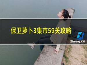 保卫萝卜3集市59关攻略