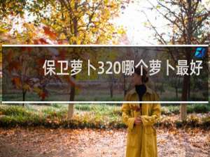 保卫萝卜3 哪个萝卜最好