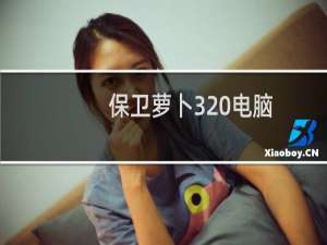 保卫萝卜3 电脑