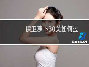 保卫萝卜30关如何过