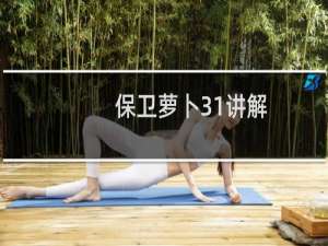 保卫萝卜31讲解