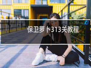保卫萝卜313关教程