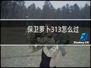保卫萝卜313怎么过