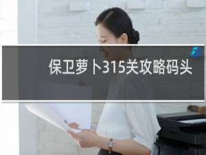 保卫萝卜315关攻略码头