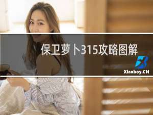 保卫萝卜315攻略图解