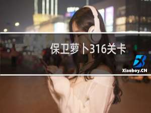 保卫萝卜316关卡