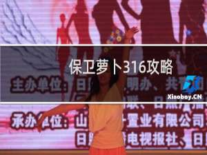 保卫萝卜316攻略