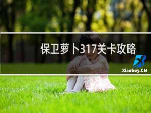 保卫萝卜317关卡攻略