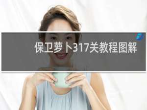 保卫萝卜317关教程图解