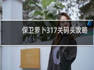 保卫萝卜317关码头攻略
