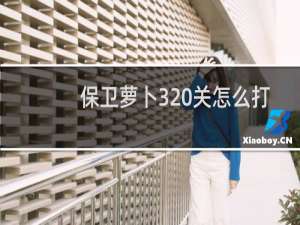 保卫萝卜320关怎么打