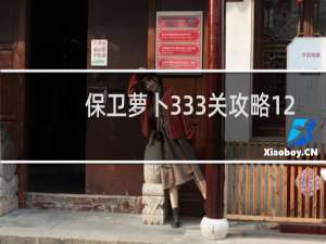 保卫萝卜333关攻略12