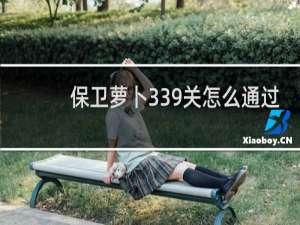 保卫萝卜339关怎么通过