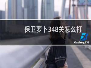 保卫萝卜348关怎么打