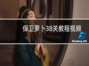 保卫萝卜38关教程视频