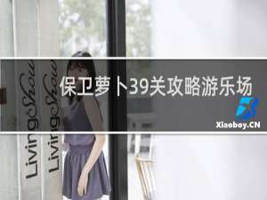 保卫萝卜39关攻略游乐场