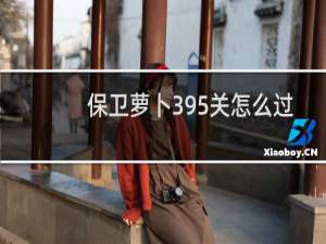 保卫萝卜395关怎么过