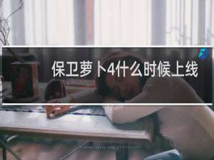 保卫萝卜4什么时候上线