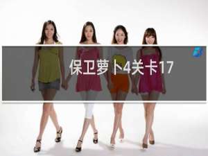 保卫萝卜4关卡17
