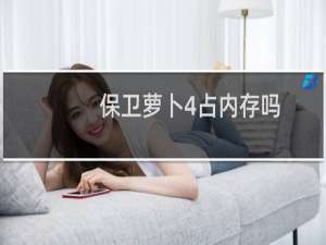 保卫萝卜4占内存吗
