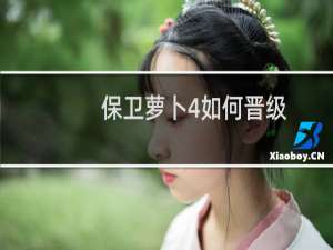保卫萝卜4如何晋级
