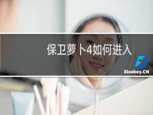 保卫萝卜4如何进入