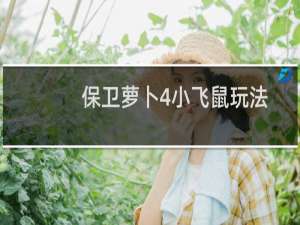 保卫萝卜4小飞鼠玩法