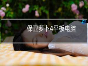 保卫萝卜4平板电脑
